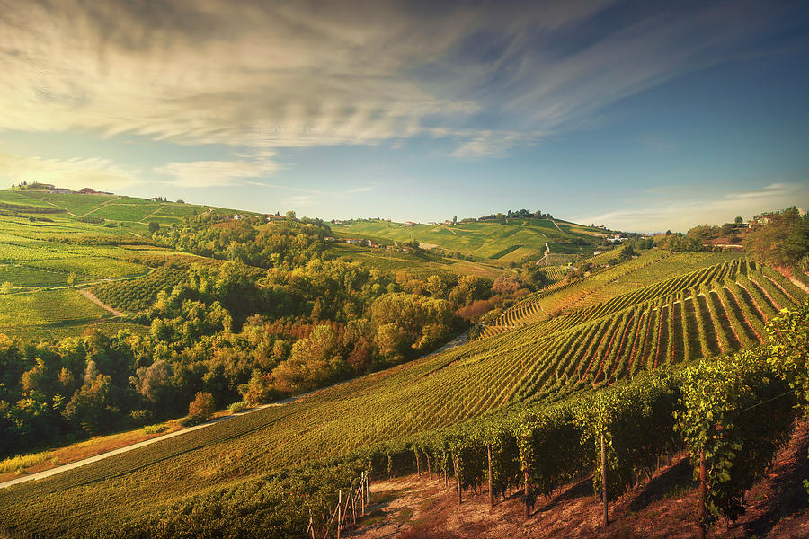 Langhe vineyards panorama, Piedmont, Italy Photograph by Stefano Orazzini