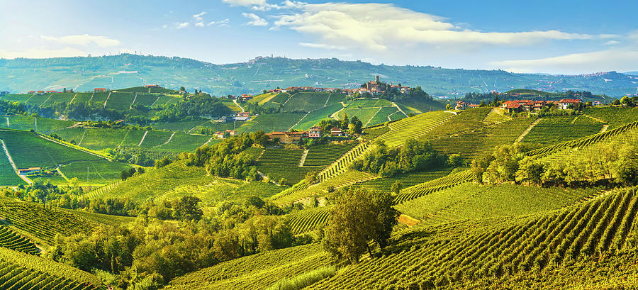 Langhe vineyards panoramic view Photograph by Stefano Orazzini