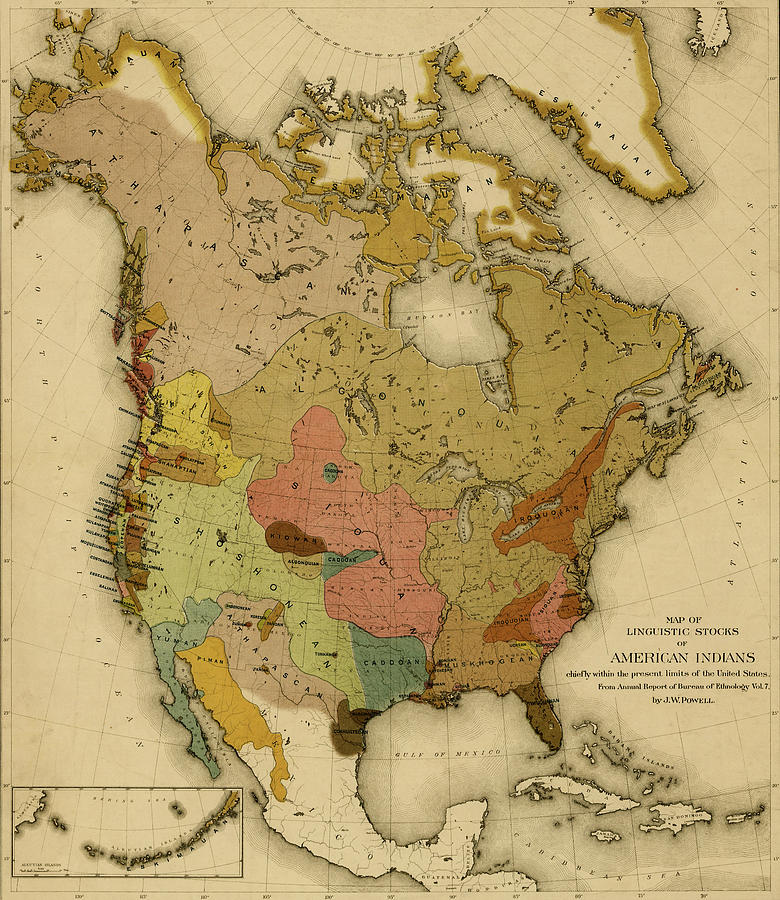 Map Drawing - Languages of the North American Indians by Vintage Maps