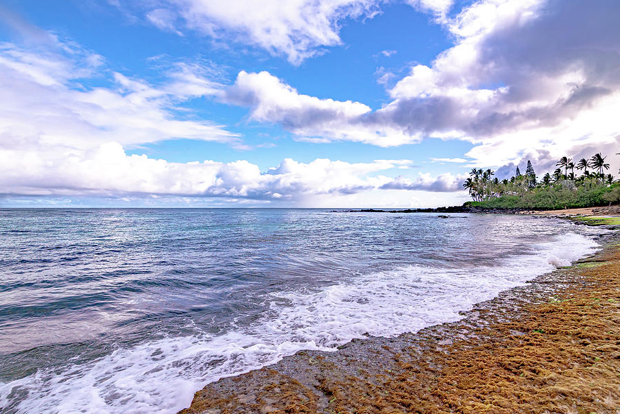 Laniakea Beach on the North Shore Oahu, Hawaii Photograph by Alex Grichenko