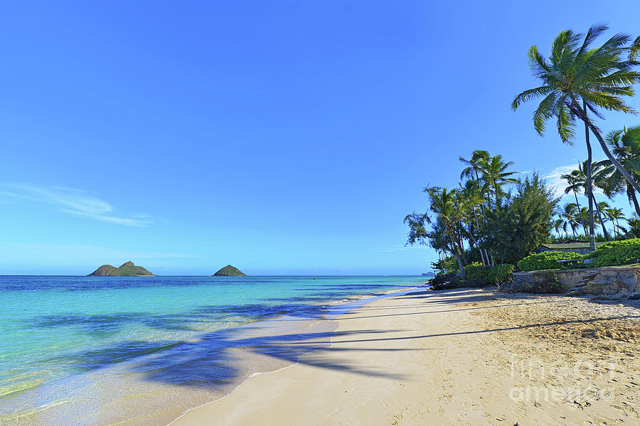 Lanikai Beach End with Palm Shadows Photograph by Aloha Art
