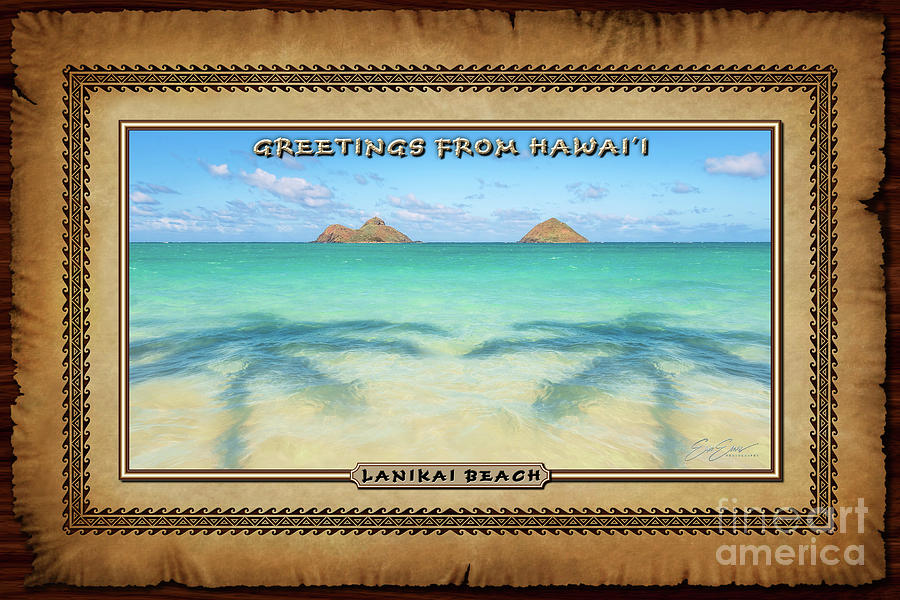 Lanikai Beach Palm Tree Shadows Wide Hawaiian Style Postcard Photograph by Aloha Art