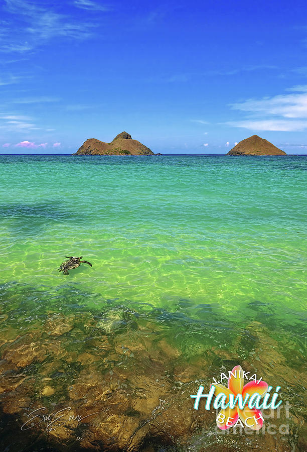 Lanikai Beach Sea Turtle Post Card Photograph by Aloha Art