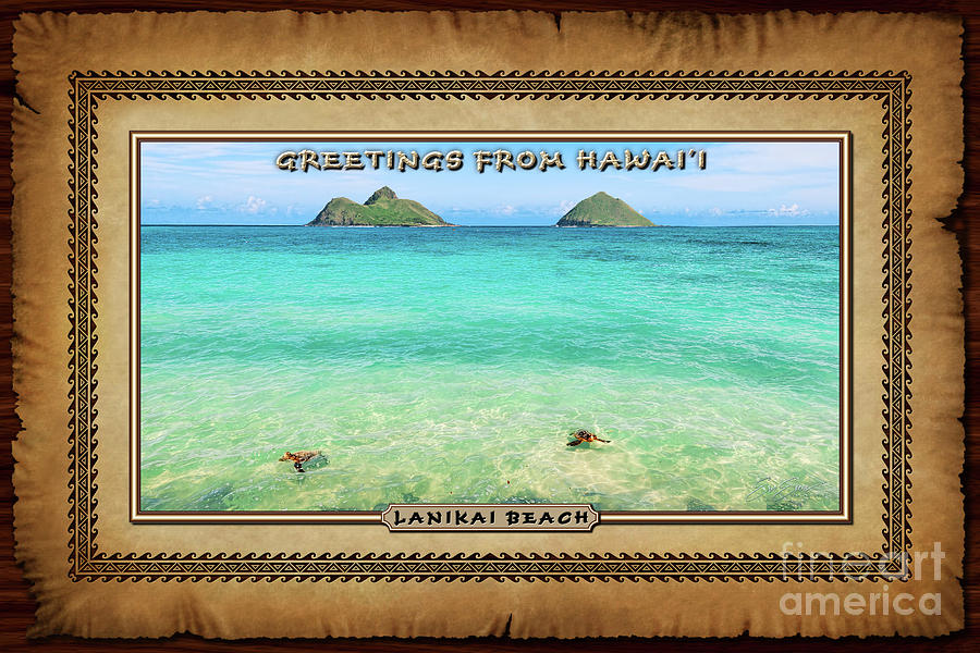 Lanikai Beach Two Sea Turtles and Two Mokes Hawaiian Style Postcard Photograph by Aloha Art