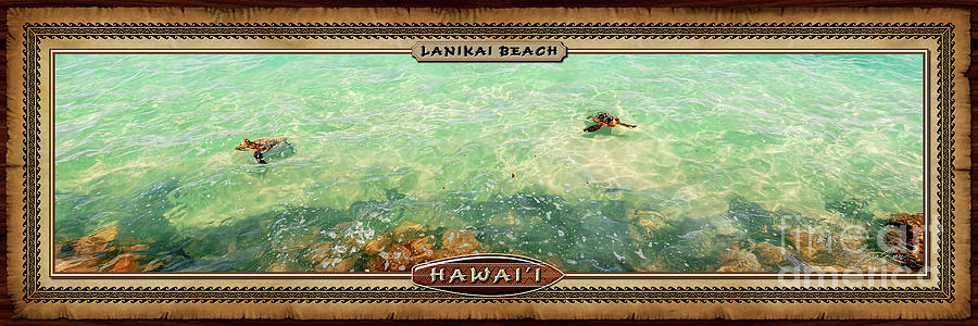 Lanikai Beach Two Sea Turtles Hawaiian Style Panoramic Photograph Photograph by Aloha Art