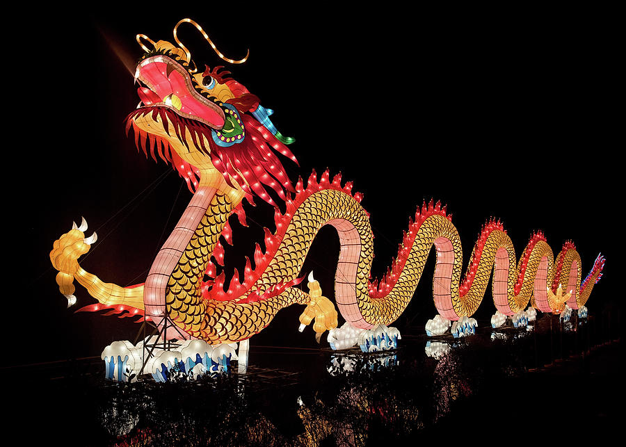 Lantern Festival Dragon Photograph by Fon Denton - Fine Art America