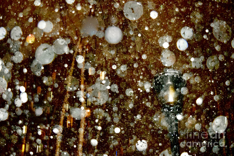 Lantern in Snowstorm Bokeh Photograph by Debra Banks
