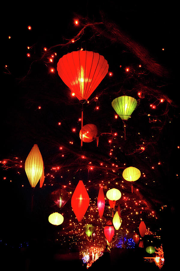 Lantern Lights Photograph by Tara Krauss