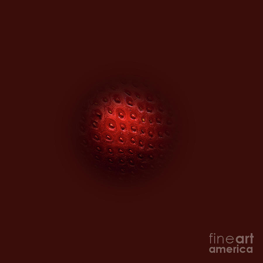 Lantern - Strawberry Abstract Photograph by Tatiana Bogracheva