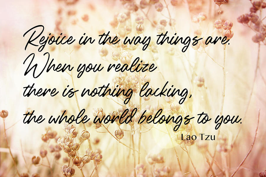 Lao Tzu Zen Quote Positive Quotes Photograph by Ann Powell