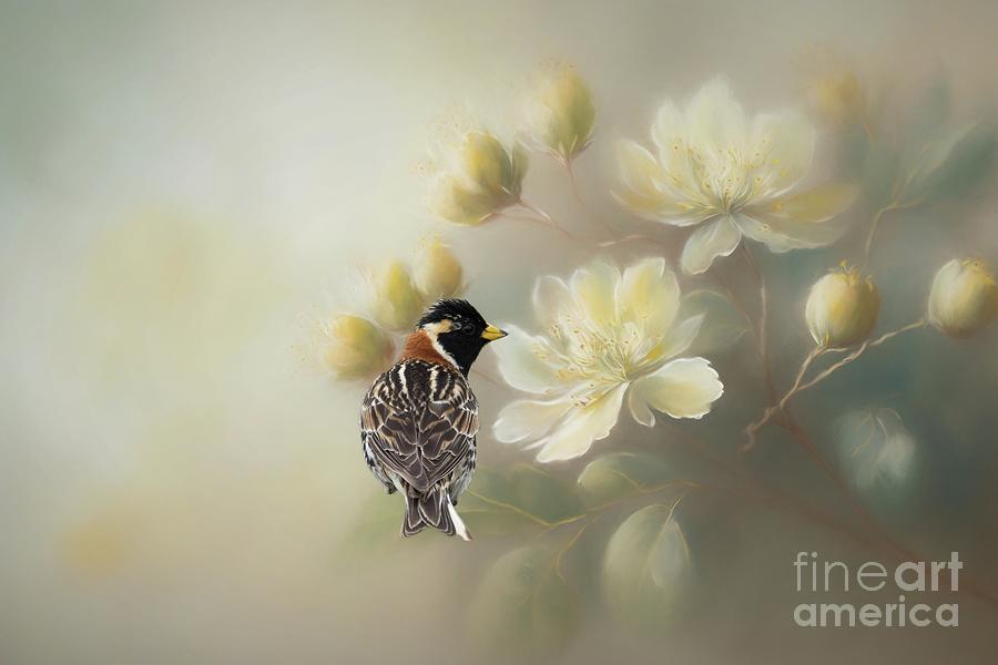 Wildlife Photograph - Lapland Bunting and Flowers by Eva Lechner
