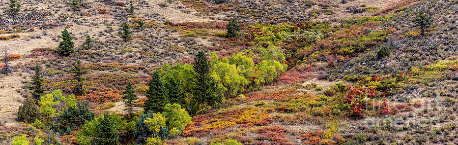 Laramie River Fall Colors Photograph by Jon Burch Photography