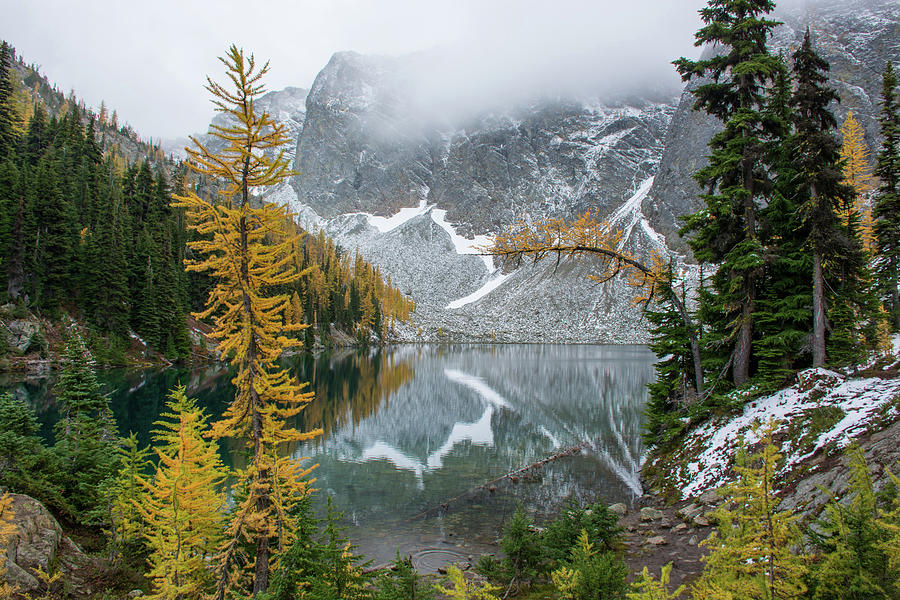 Larch Trees at Blue Lake Photograph by Joan Septembre