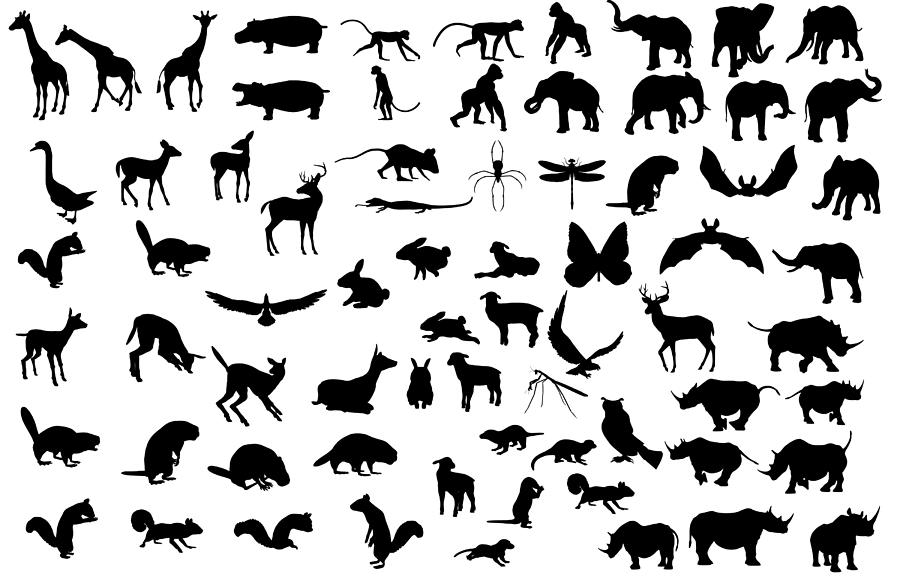 Large Animal Silhouette Collection Drawing by Hypergon