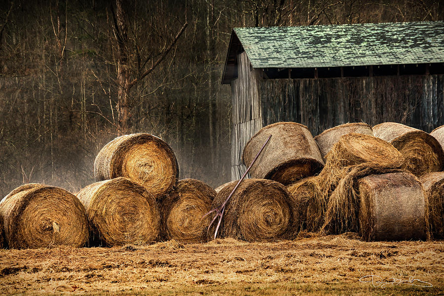 Bales Of Hay With Barn And Forest Photograph by Dan Barba