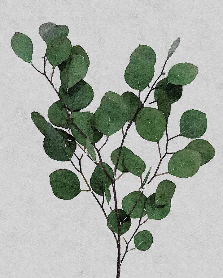 Large Eucalyptus Leaf Stem Painting by Rachel Elise