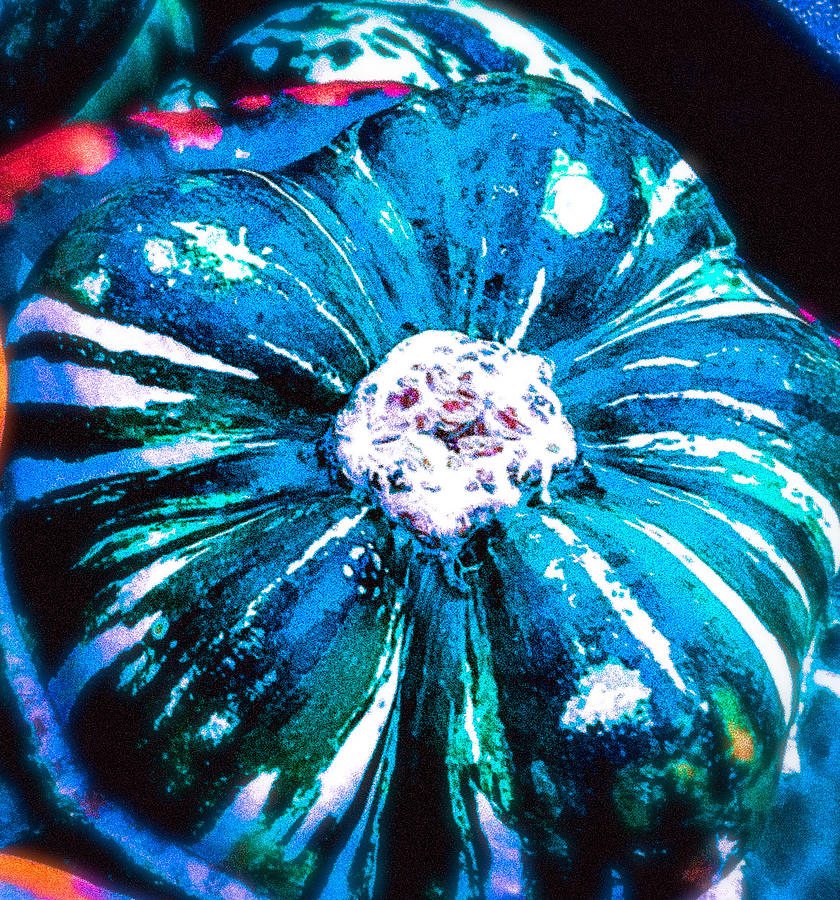 Large Gourd in Blues Photograph by Eileen Backman