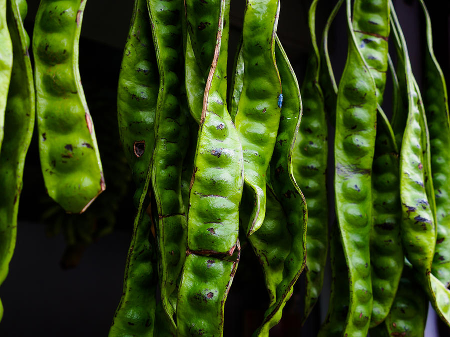 Large green bitter beans at market stall in Perak, Malaysia Photograph by Whitworth Images