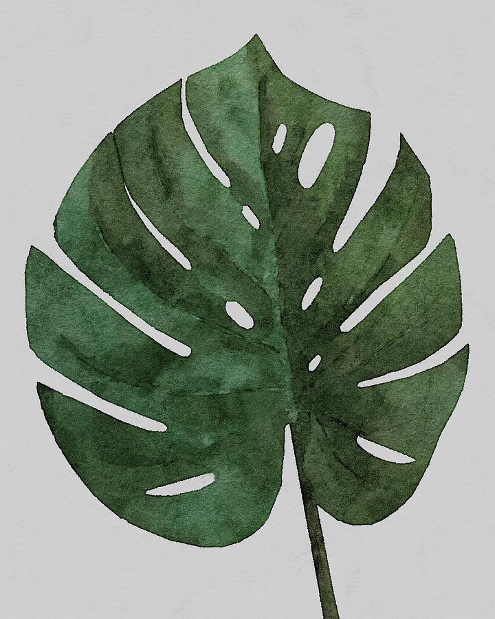 Large Monstera Leaf Painting by Rachel Elise