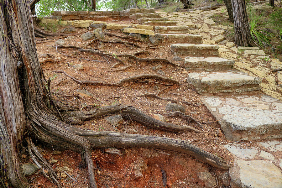 Rooted Pathway - Pedernales Falls State Park Photograph by Brigitte Blanchette Thompson Rooted Pathway - Pedernales Falls State Park Photograph by Brigitte Blanchette Thompson