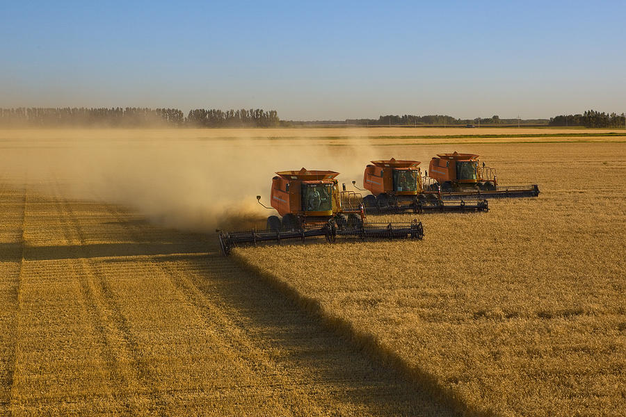 Large scale wheat harvest operation Photograph by Andy Sacks
