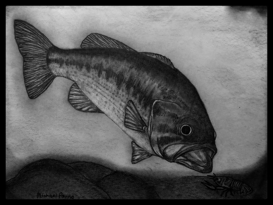 largemouth bass black and white