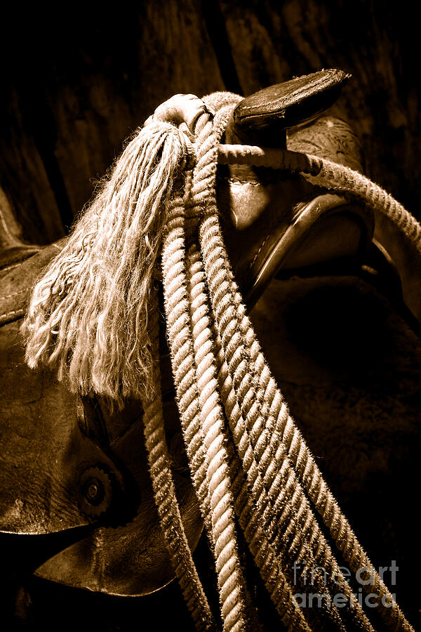 Lariat on a Saddle - Sepia Photograph by American West Legend Lariat on a Saddle - Sepia Photograph by American West Legend