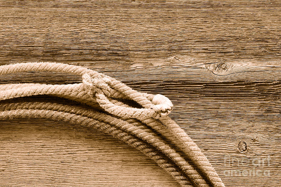 Lariat on Wood - Sepia Photograph by Olivier Le Queinec