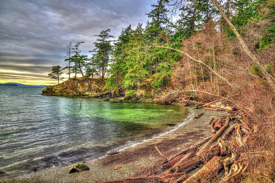 Larrabee State Park Cove Photograph by Spencer McDonald