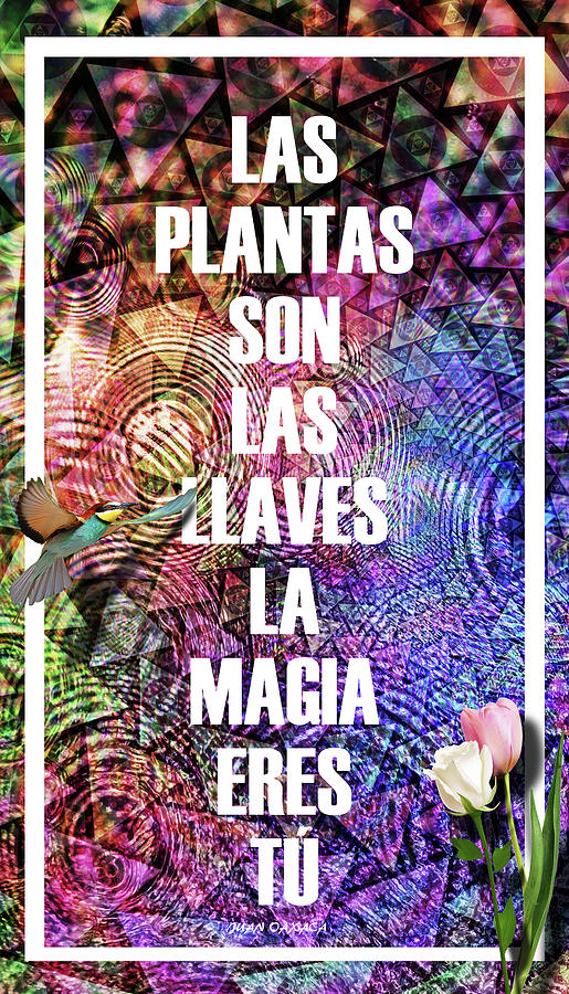 Las Plantas Son Las Llaves, Tu La Magia Digital Art by J U A N - O A X A C A