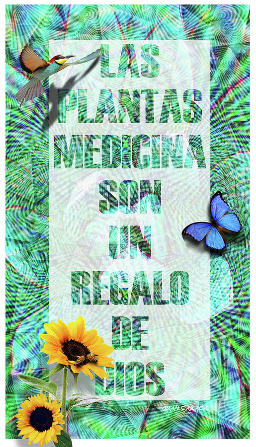 Las Plantas Son Un Regalo Digital Art by J U A N - O A X A C A