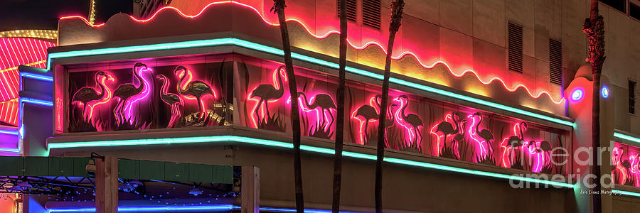 Las Vegas Lockdown Flamingo Casino Neon Flamingos Photograph by Aloha Art