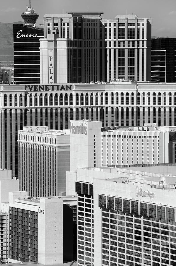 Las Vegas Mega Resort Architecture Perspective Black and White Photograph by Shawn OBrien