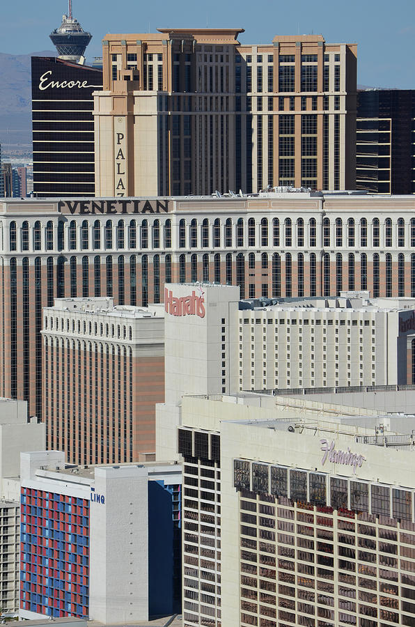 Las Vegas Mega Resort Architecture Perspective Photograph by Shawn OBrien
