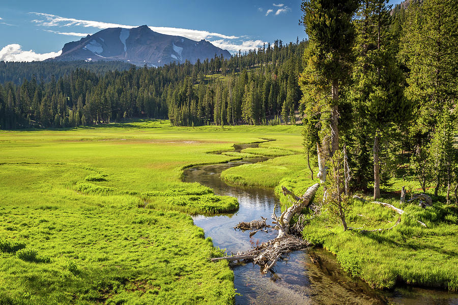 Mountain Photograph - Lassen Volcanic Green Meadow by Pierre Leclerc Photography