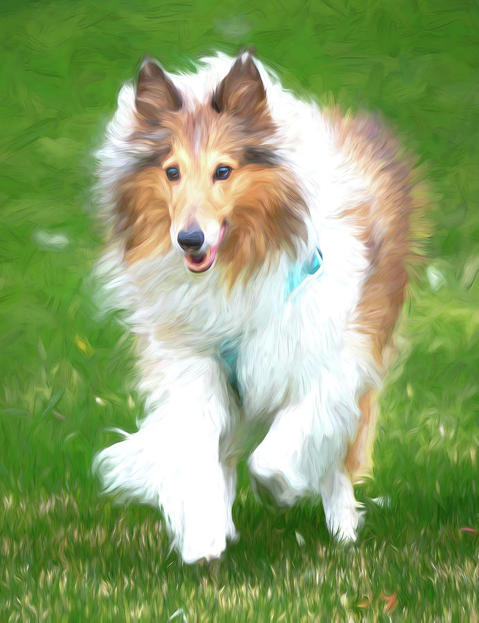 Lassie Come Home Digital Art by Angie Mossburg