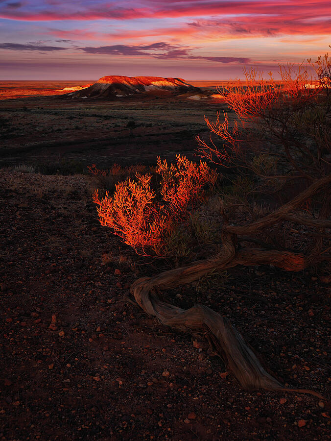 Sunset Photograph - Last Blast of Sun - The Breakaways, South Australia by Lexa Harpell