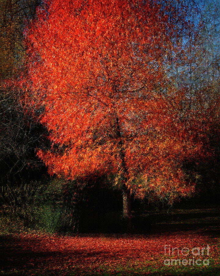 Last Days of Autumn Digital Art by Edmund Nagele FRPS