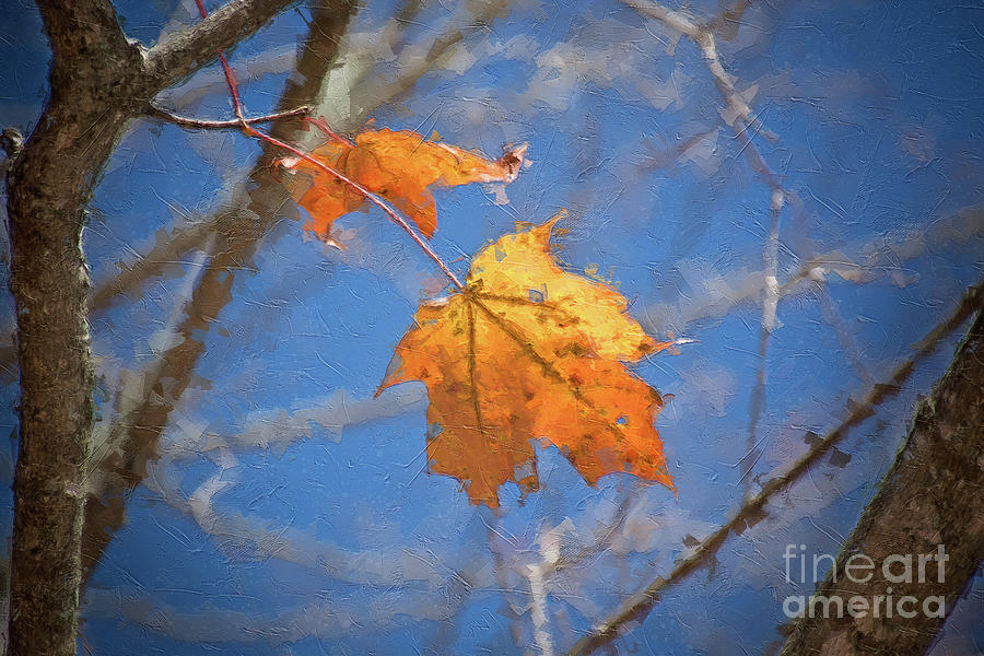 Last Leaves - Autumn Memoir Digital Art by Rehna George