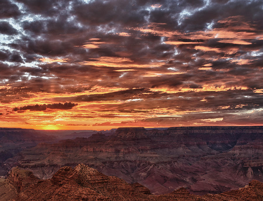 Last Light In The Canyon Photograph by Genfirstlight