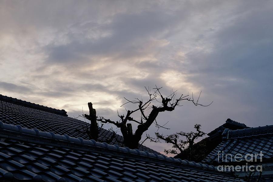 Last Light over Kyoto Photograph by Dean Harte