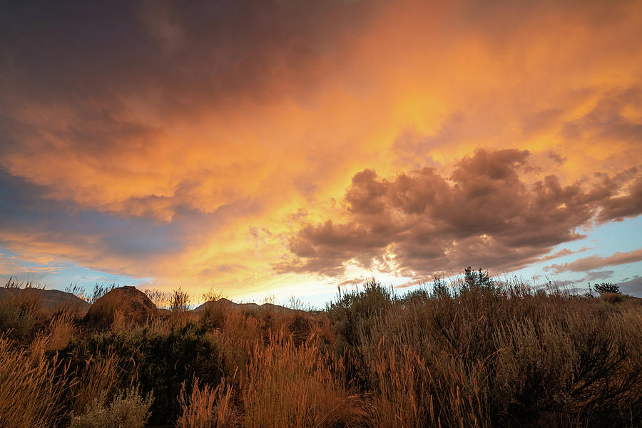 Last Light Over the High Desert Photograph by Ron Long Ltd Photography