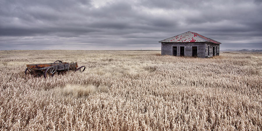 Last Load Delivered-  Old wood wagon and homestead on ND Prairie near ghost town of Griffin Photograph by Peter Herman