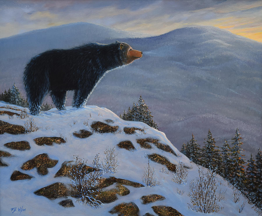 Wildlife Painting - Last Look Black Bear by Frank Wilson