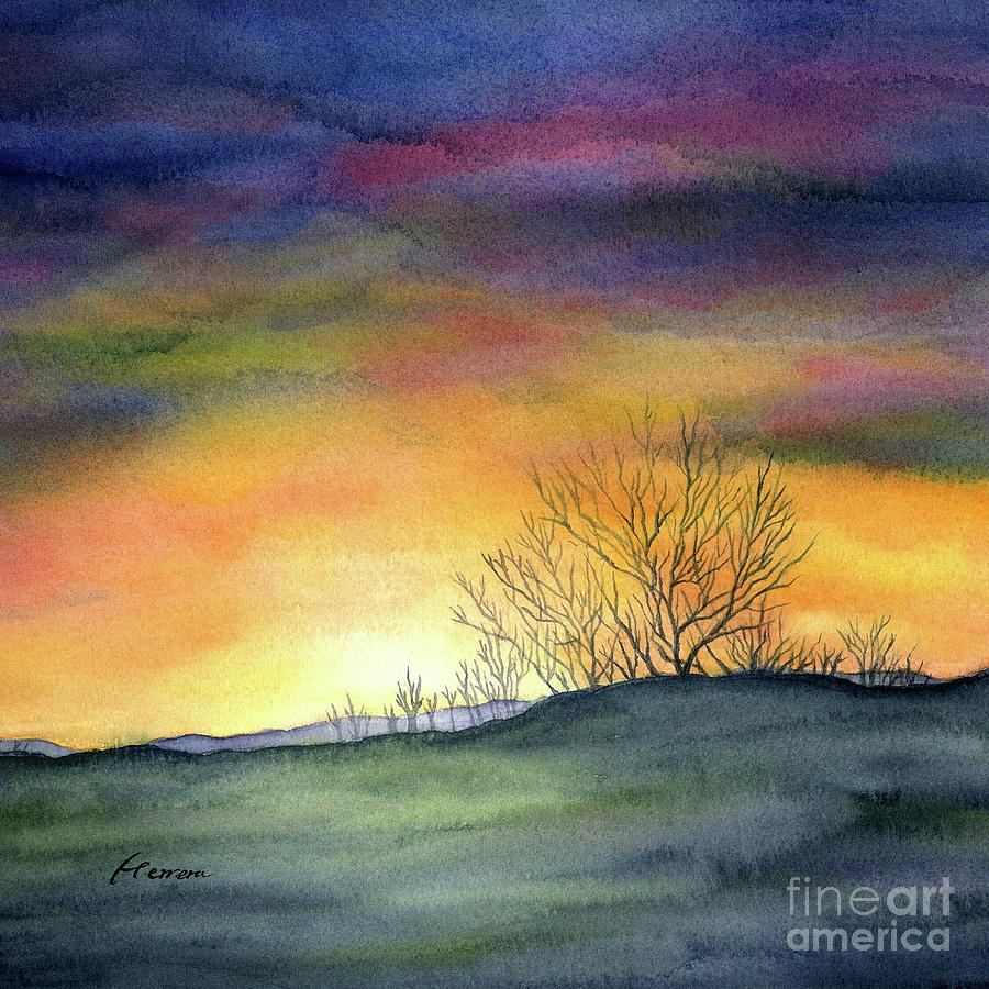 Sunset Painting - Last Night - Bare Trees by Hailey E Herrera