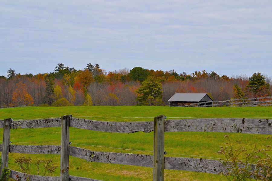 Fall Photograph - Last of It by Warren LaBaire Photography