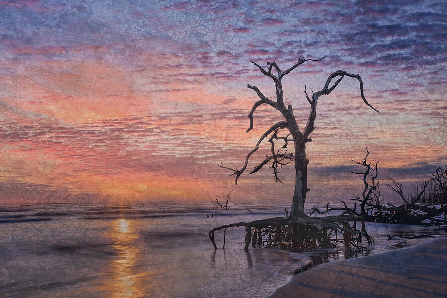 Last One Standing - color Photograph by Maryanne Keeling