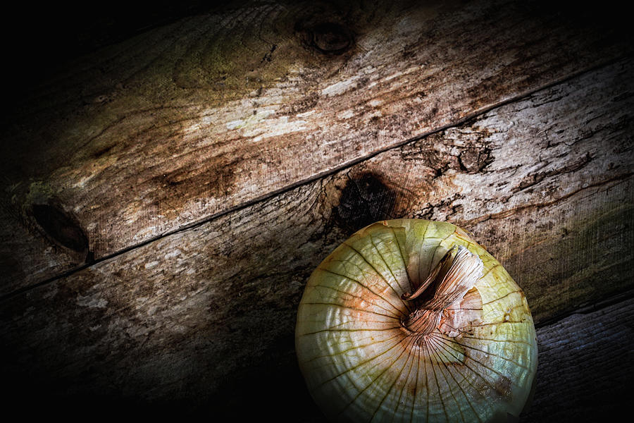 Last Onion Photograph by Bob Orsillo