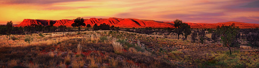 Last Rays of Sun - Kings Canyon Panorama Photograph by Lexa Harpell