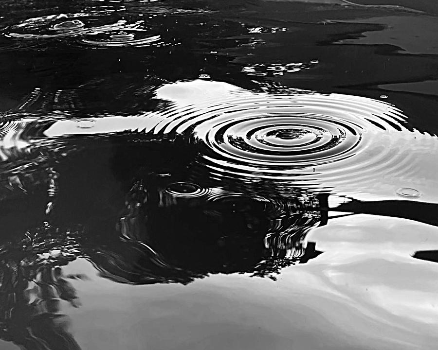 Last Ripple of Summer BW Photograph by Lee Darnell
